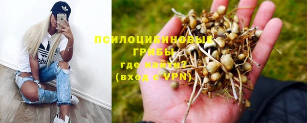 каннабис Алексеевка